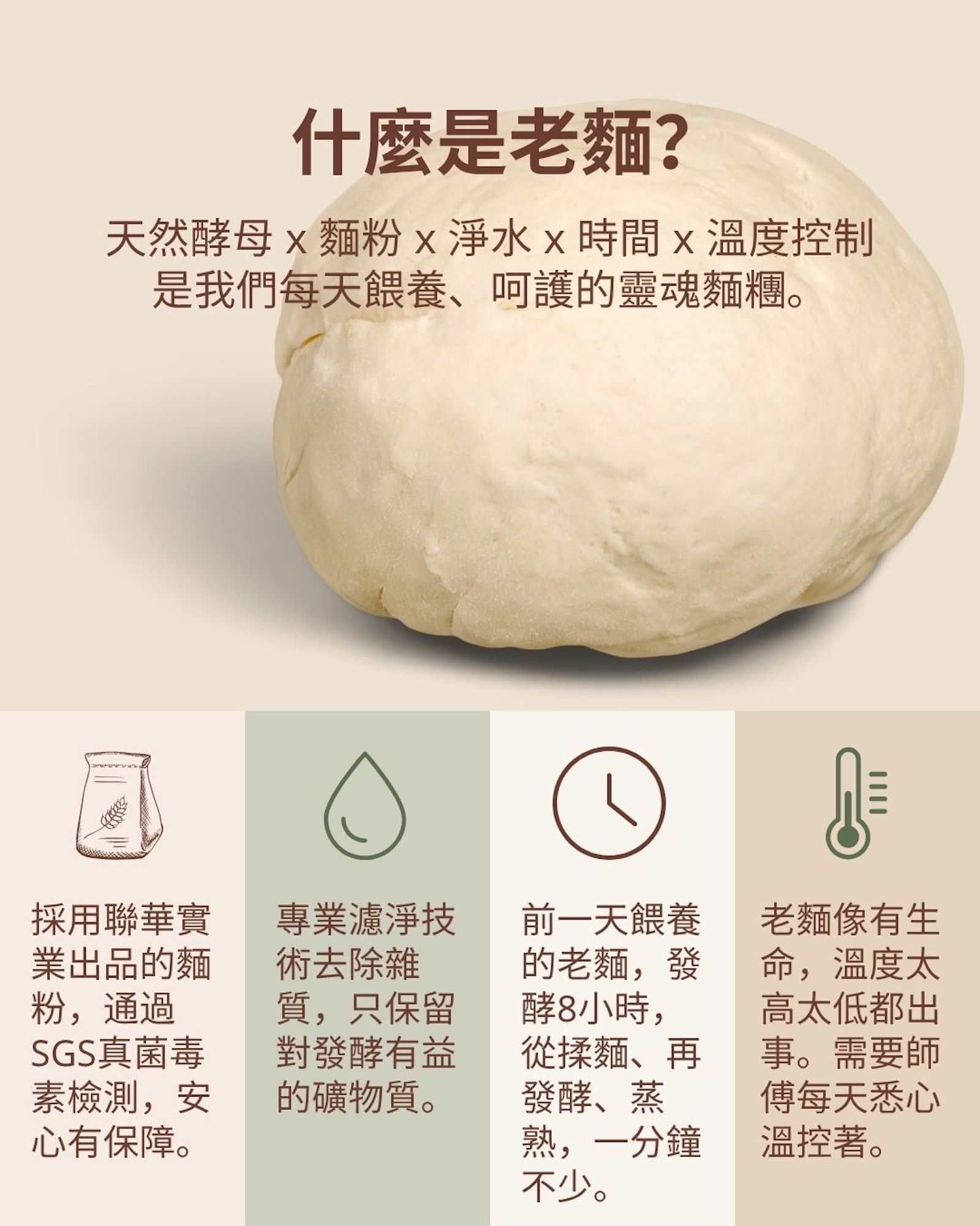 什麼是老麵？