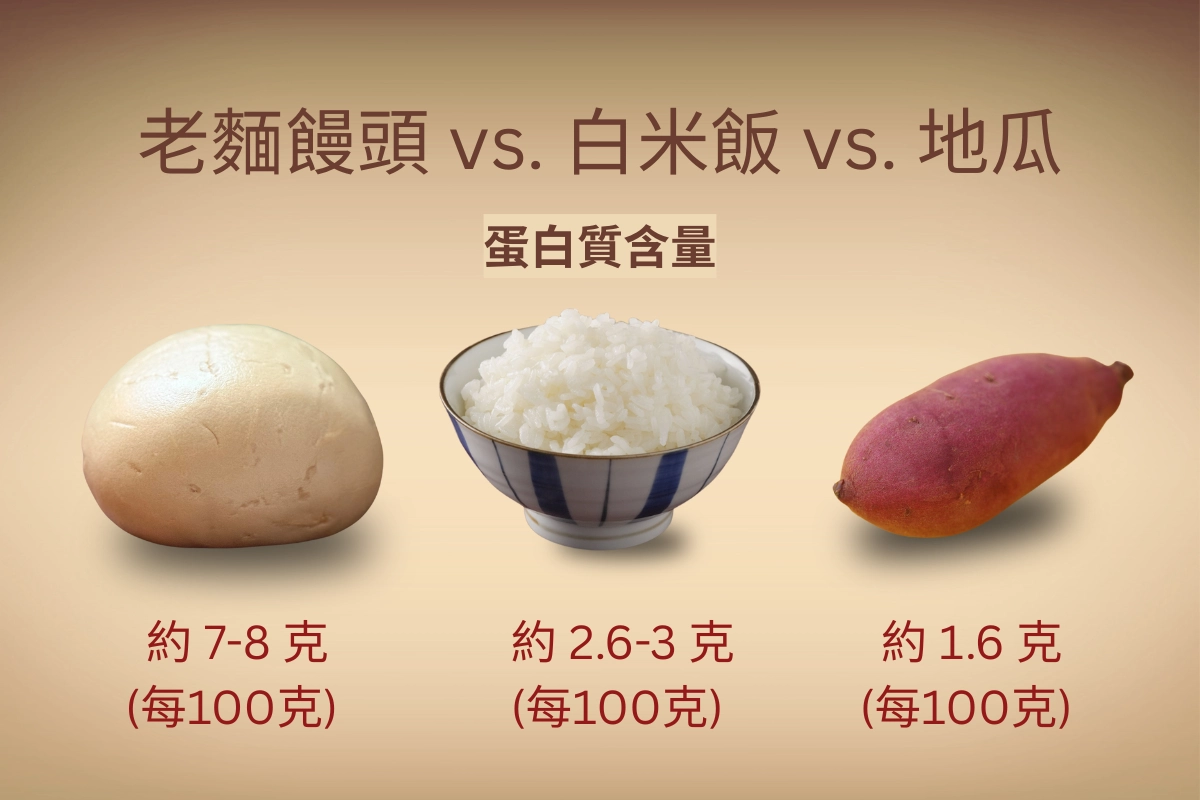 老麵饅頭與其他主食的蛋白質含量對比圖